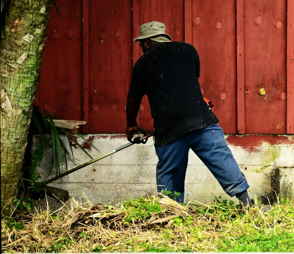 lawn-maintenance-services-in-myrtle-beach