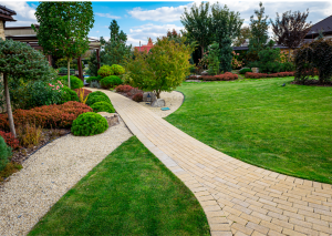 Landscape Redesign Services in Conway